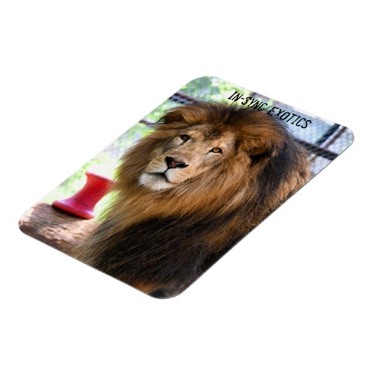 Lamber - magneet (Linkerzijde)