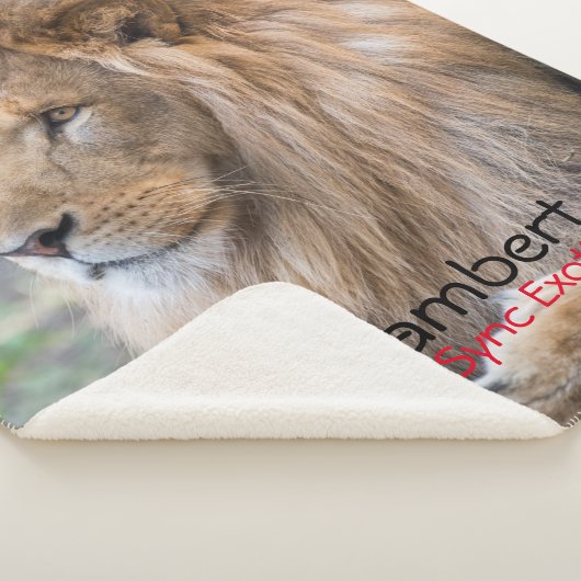 Lamber - sherpa deken (3/4)