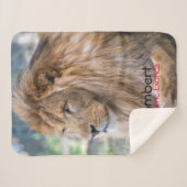 Lamber -  sherpa deken (Voorkant (horizontaal))