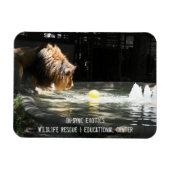 Lambert - Flexible Photo Magnet Magneet (Horizontaal)