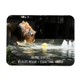 Lambert - Flexible Photo Magnet Magneet