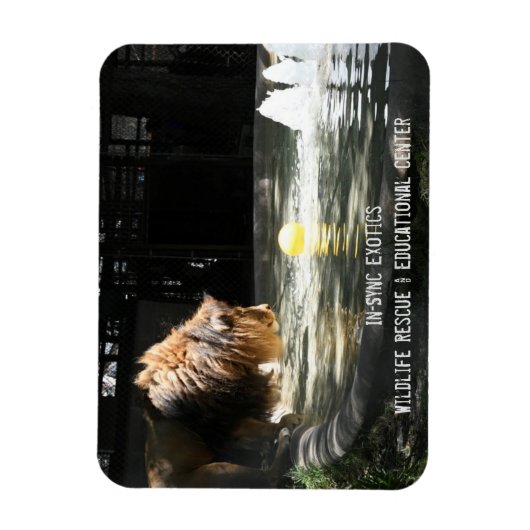 Lambert - Flexible Photo Magnet Magneet (Verticaal)