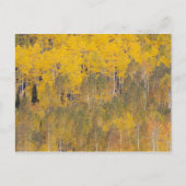 Lambert Hollow, espenbomen Briefkaart (Voorkant)