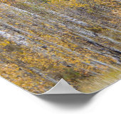 Lambert Hollow, espenbomen Poster (Hoek)