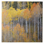 Lambert Hollow, espenbomen Tegeltje (Voorkant)