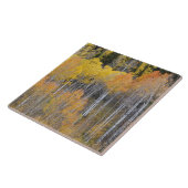 Lambert Hollow, espenbomen Tegeltje (Zijkant)