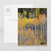 Lambert Hollow, espessen Briefkaart (Voorkant / Achterkant)