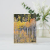 Lambert Hollow, espessen Briefkaart (Staand voorkant)