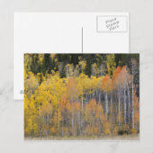 Lambert Hollow, espessen Briefkaart (Voorkant / Achterkant)