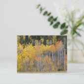 Lambert Hollow, espessen Briefkaart (Staand voorkant)