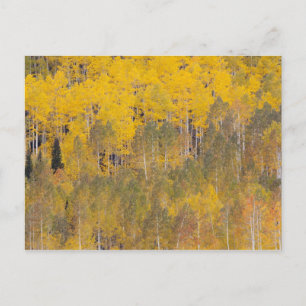 Lambert Hollow, espessen Briefkaart