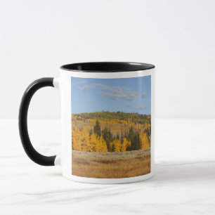 Lambert Hollow, espessen Mok