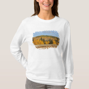 Lambert Hollow, espessen T-shirt