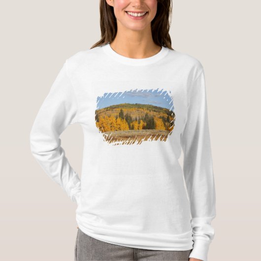 Lambert Hollow, espessen T-shirt (Voorkant)