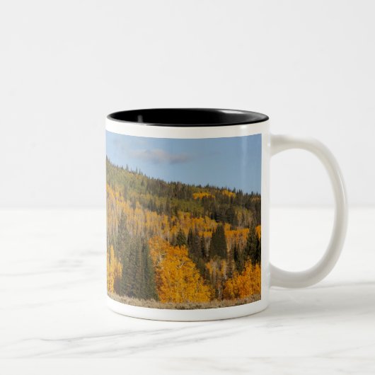 Lambert Hollow, espessen Tweekleurige Koffiemok (Rechts)
