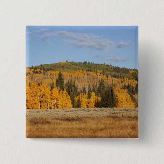 Lambert Hollow, espessen Vierkante Button 5,1 Cm (Voorkant)