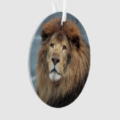 Lambert - ornament (voorkant)