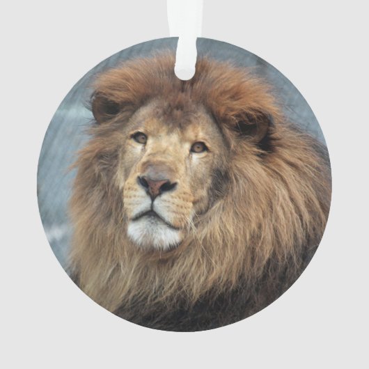 Lambert - ornament (achterkant)