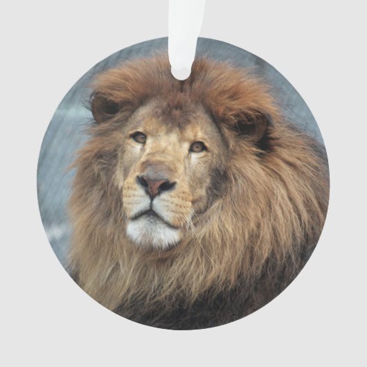 Lambert - ornament (voorkant)