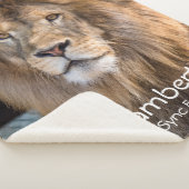 Lambert -  sherpa deken (3/4)