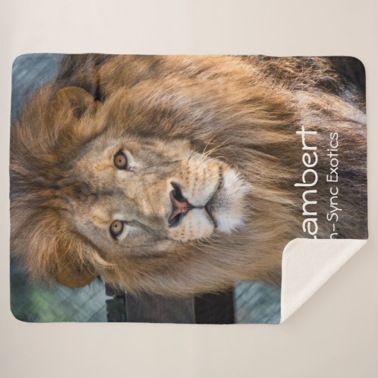 Lambert - sherpa deken (Voorkant (horizontaal))