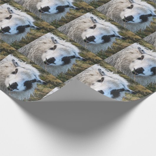Lambie Wrapping Paper Cadeaupapier (Hoek)