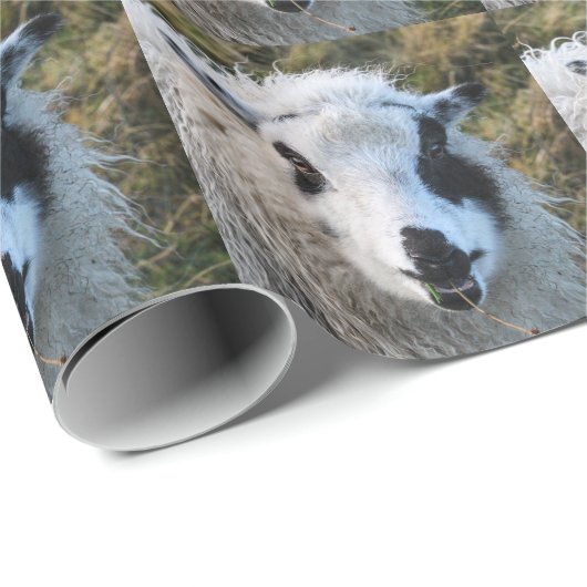 Lambie Wrapping Paper Cadeaupapier (Rol Hoek)