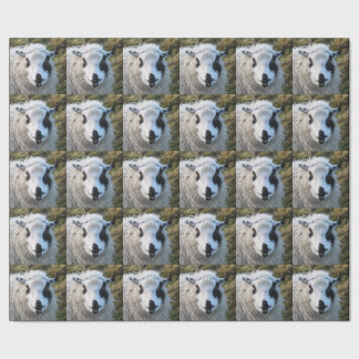 Lambie Wrapping Paper Cadeaupapier