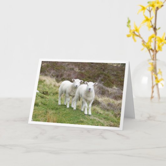 Lambs Birthday-kaart Kaart (Gele Bloem)