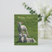Lambs Easter Briefkaart (Staand voorkant)