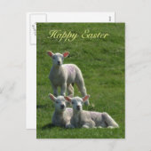 Lambs Easter Briefkaart (Voorkant / Achterkant)