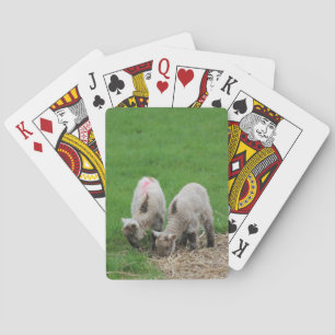 Lambs Speelkaarten