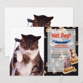 Lame cat kaart (Voorkant / Achterkant)