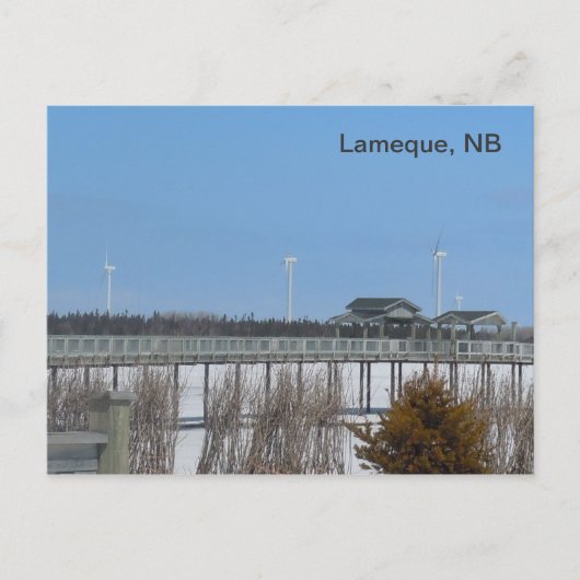 Lameque Wind Turbines Briefkaart (Voorkant)