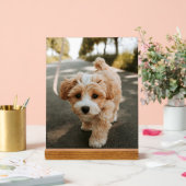 Lamina con foto de perro bonito tierno acryl bord (Huwelijk)