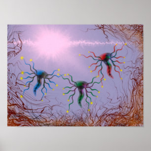 Lamineren Poster