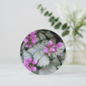 Lamiummaculatumventilator Kaart (Staand voorkant)