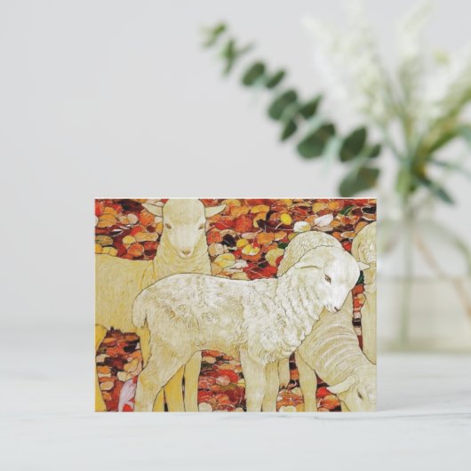 lammeren briefkaart (Staand voorkant)