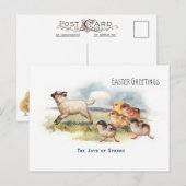  lammeren en kippen met paasbegroeting briefkaart (Voorkant / Achterkant)