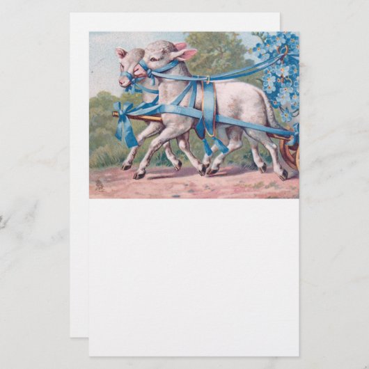  lammeren geperst in Fancy blauwe linten Briefpapier (Voorkant / Achterkant)