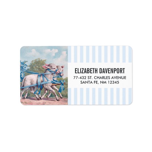 lammeren geperst in Fancy blauwe linten Etiket (Voorkant)