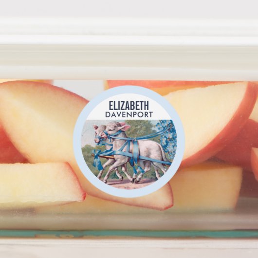  lammeren geperst in Fancy blauwe linten Labels (Aangebracht)