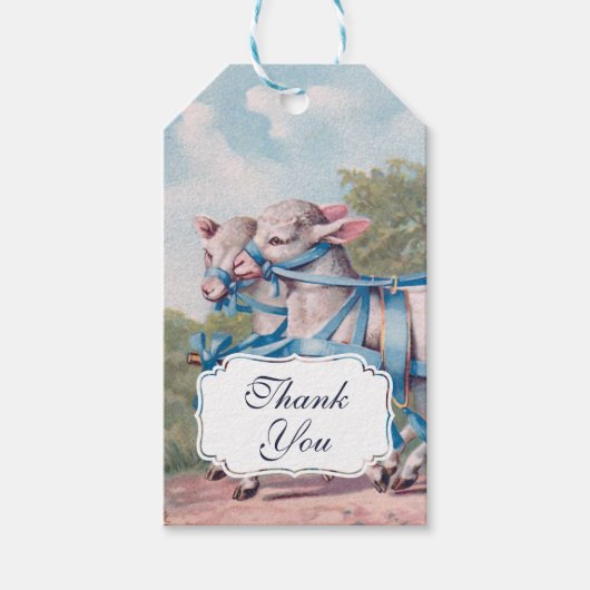  lammeren in blauwe ribbons op strips Dank je Cadeaulabel (Voorkant)