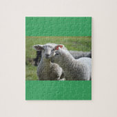 Lammeren samen legpuzzel (Verticaal)