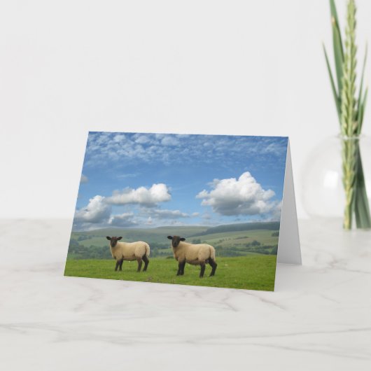 Lammetjes Kaart (Voorkant)