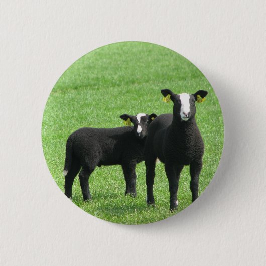 Lammetjes Ronde Button 5,7 Cm (Voorkant)