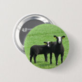 Lammetjes Ronde Button 5,7 Cm (Voorkant /achterkant)