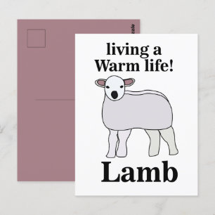 Lammige Warmte Funny Lam Briefkaart