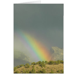 Lamoille Canyon Rainbow