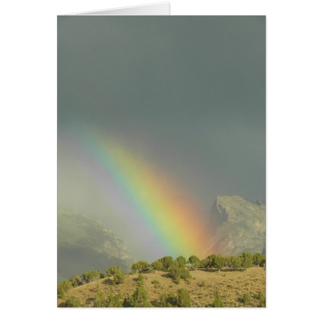 Lamoille Canyon Rainbow (Voorkant)